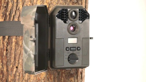 Stealth Cam P36 Black Flash Trail Camera 8MP - image 3 from the video