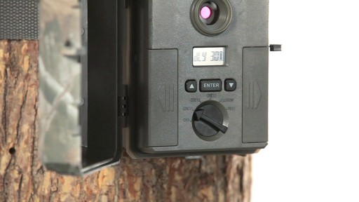 Stealth Cam P36 Black Flash Trail Camera 8MP - image 6 from the video