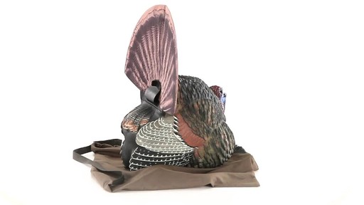 Avian-X LCD Strutter Decoy 360 VIew - image 6 from the video