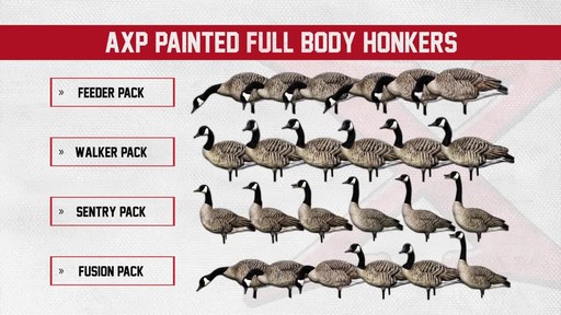 Avian-X Painted Honker Canada Goose Decoy Combo 6 pack - image 3 from the video