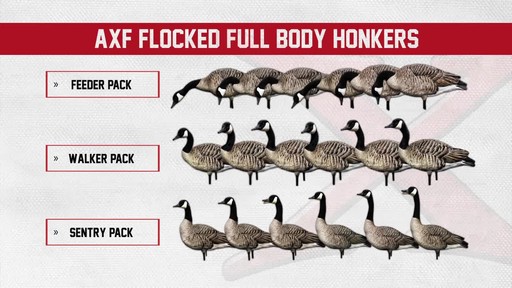 Avian-X Painted Honker Canada Goose Decoy Combo 6 pack - image 7 from the video