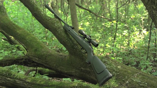 Gamo Whisper IGT .177 cal. Air Rifle - image 10 from the video