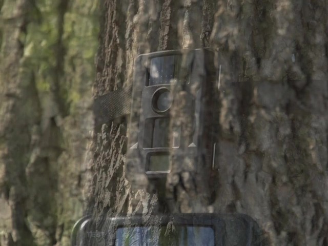  Stealth Cam® Skout-NoGlo Trail Camera - image 1 from the video
