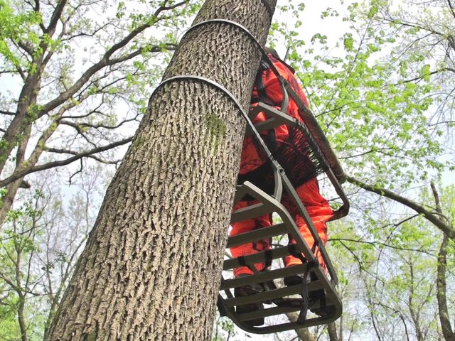 API Outdoors® Aluminum Marksman Climber Tree Stand - image 7 from the video