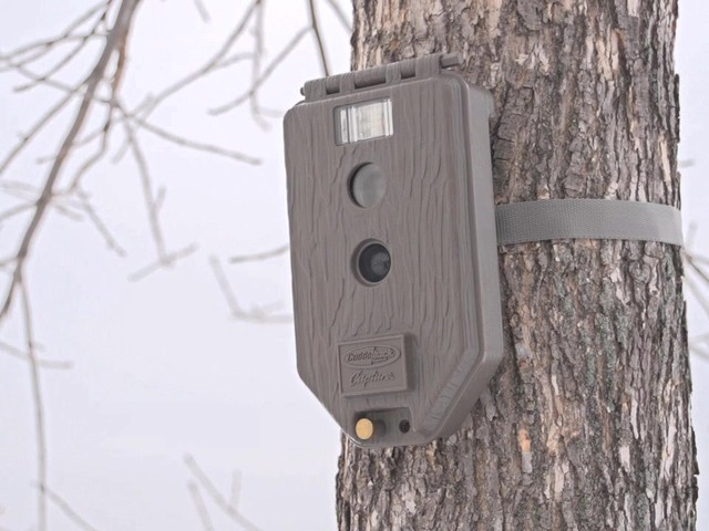 Cuddeback Capture Refurbished Flash Game Camera - image 10 from the video