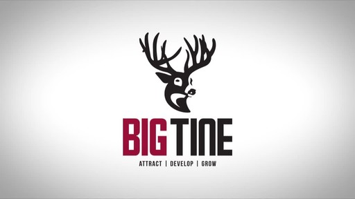 Big Tine Attractrants and Minerals - image 10 from the video