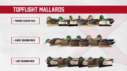 Avian-X TopFlight Late Season Mallards 6 Pack - image 1 from the video