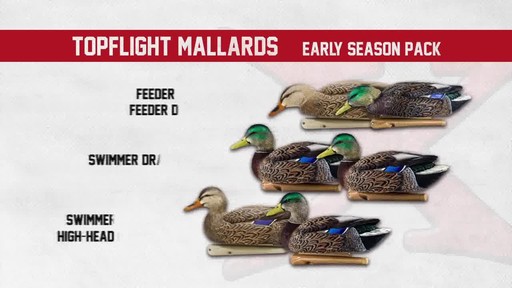 Avian-X TopFlight Late Season Mallards 6 Pack - image 4 from the video
