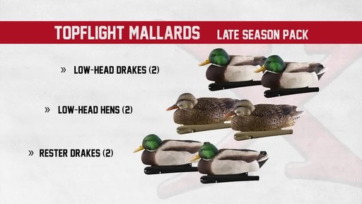 Avian-X TopFlight Late Season Mallards 6 Pack - image 8 from the video