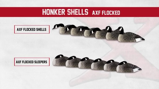 Avian-X Painted Canada Goose Sleeper Shells 6 Pack - image 10 from the video