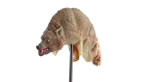 Bird-X 3D Coyote Decoy 360 View - image 1 from the video