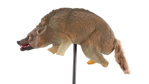 Bird-X 3D Coyote Decoy 360 View - image 10 from the video