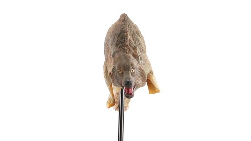 Bird-X 3D Coyote Decoy 360 View - image 2 from the video