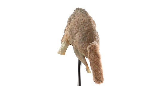 Bird-X 3D Coyote Decoy 360 View - image 8 from the video