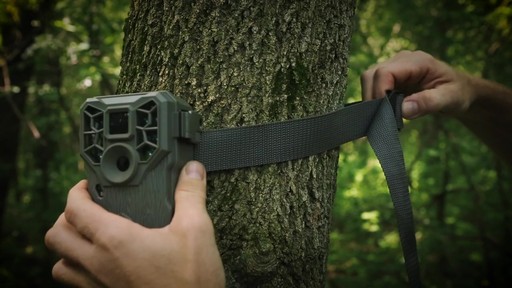 Stealth Cam PX12 Trail Camera Property Management Kit - image 4 from the video