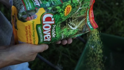 Evolved Harvest Provide Clover (Perennial) - image 6 from the video
