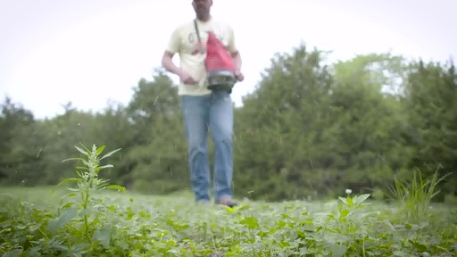 Evolved Harvest Provide Clover (Perennial) - image 9 from the video