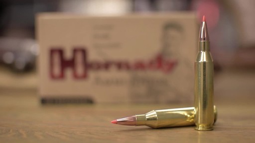 Hornady Custom .243 Winchester V-MAX 87 Grain 20 Rounds - image 8 from the video
