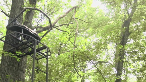 Big Game? 16' 2-person Ladder Tree Stand - image 10 from the video