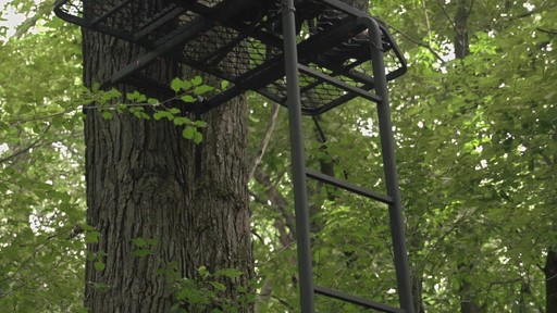 Big Game? 16' 2-person Ladder Tree Stand - image 4 from the video