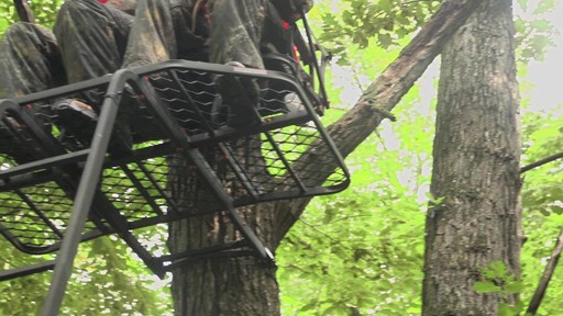 Big Game? 16' 2-person Ladder Tree Stand - image 5 from the video