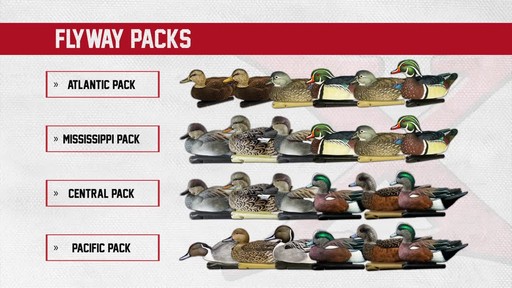 Avian-X Top Flight Central Flyway Pack 6 Pack - image 2 from the video