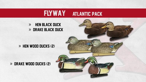 Avian-X Top Flight Central Flyway Pack 6 Pack - image 4 from the video