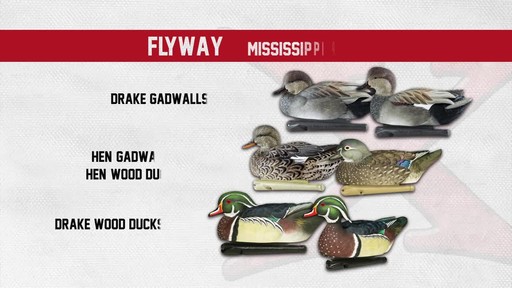 Avian-X Top Flight Central Flyway Pack 6 Pack - image 5 from the video