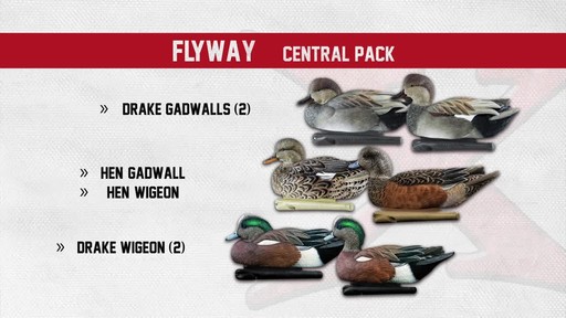 Avian-X Top Flight Central Flyway Pack 6 Pack - image 7 from the video