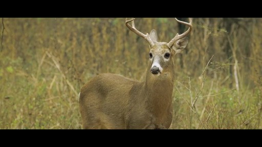 NOMAD Men's Harvester Hunting Jacket - image 6 from the video