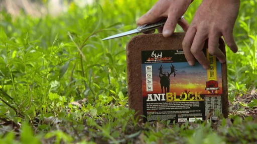 Ani-Logics Ani-block Deer Mineral 20 lbs. - image 3 from the video