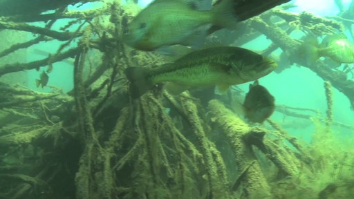 Aqua-Vu 700 Series - image 7 from the video