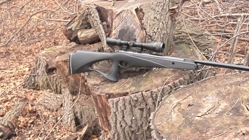 Benjamin Trail .22 NP All Weather Air Rifle - image 10 from the video