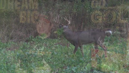 Ani-logics Supplement 365 - image 5 from the video