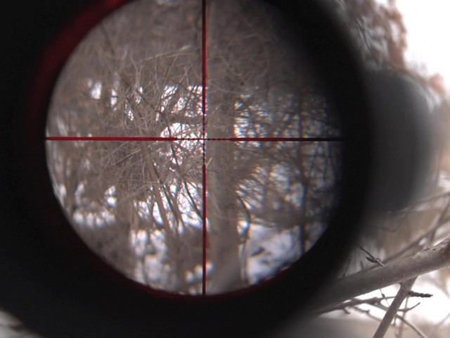 HQ ISSUE™ 2.5-10x40mm Laser Scope - image 6 from the video