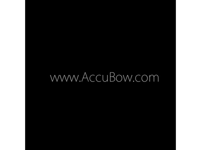 AccuBow Archery Training Device - image 10 from the video