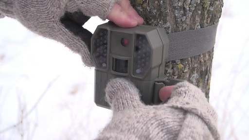 Stealth Cam 8MP RX36NG Trail Camera - image 9 from the video