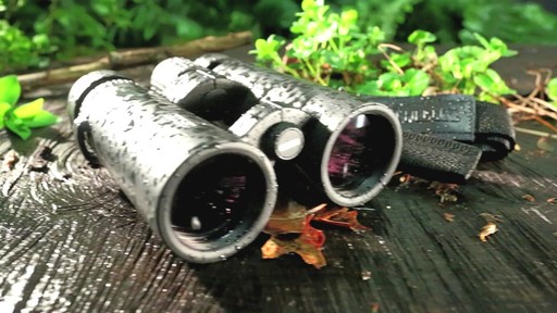 Leatherwood Hi-Lux Recon Binoculars 10x42mm - image 9 from the video