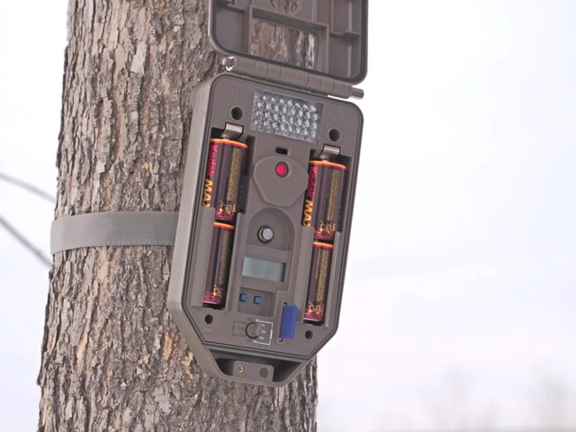 Cuddeback Capture Refurbished Infrared Game Camera - image 5 from the video