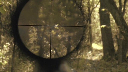 Nikon Buckmasters 4-12x40mm Scope with BDC Reticle - image 7 from the video