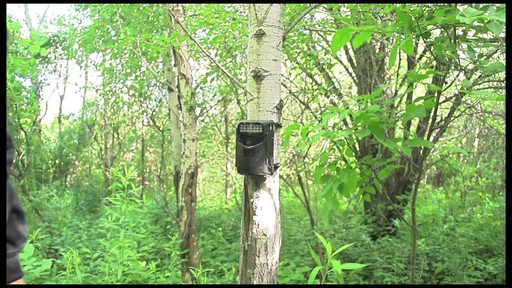 Wildgame Innovations Razor 5 Trail Camera - image 10 from the video