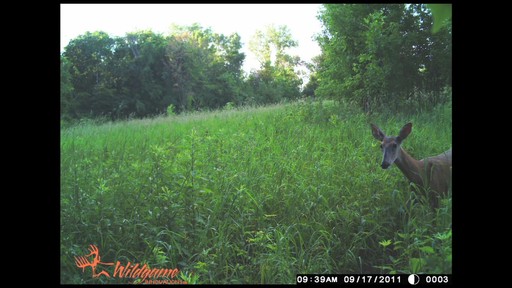 Wildgame Innovations Razor 5 Trail Camera - image 3 from the video