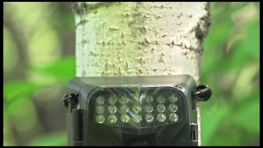 Wildgame Innovations Razor 5 Trail Camera - image 6 from the video