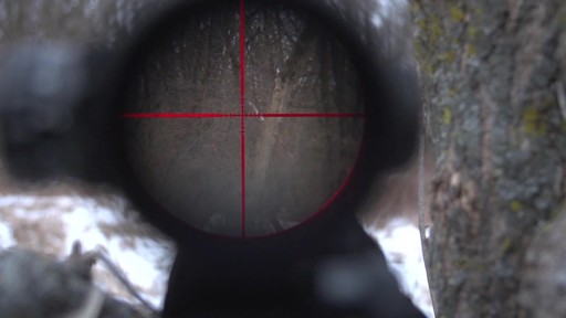 HQ ISSUE 2.5-10x40mm Red Laser Scope - image 6 from the video