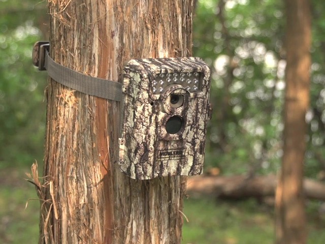 Game Spy™ 8MP Low Glow Infrared Trail Camera - image 10 from the video