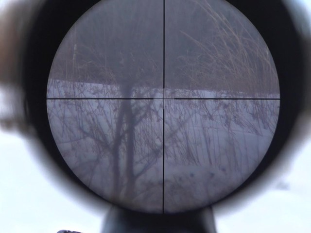  Laser Genetics 3.5-10x50mm Rifle Scope - image 3 from the video