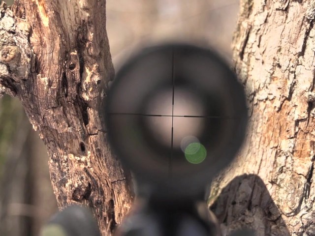  Laser Genetics 3.5-10x50mm Rifle Scope - image 6 from the video