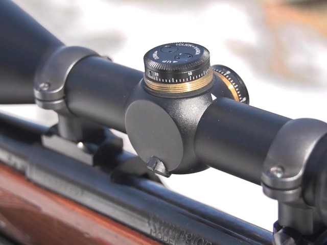  Laser Genetics 3.5-10x50mm Rifle Scope - image 9 from the video