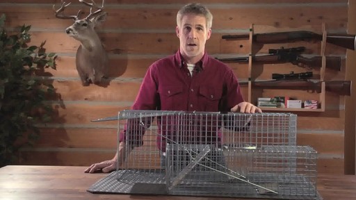 2-Pc. Set of Guide Gear Live Animal Traps - image 3 from the video