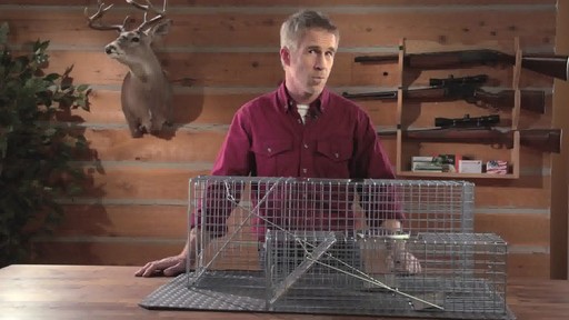 2-Pc. Set of Guide Gear Live Animal Traps - image 5 from the video